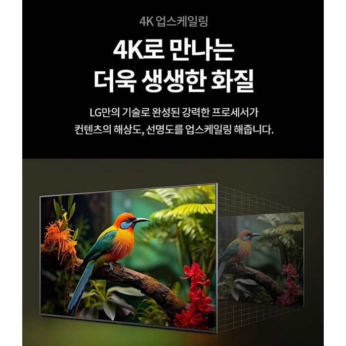 LG전자 4K UHD 나노셀 AI TV, 189cm(75인치) 후기 분석 - 스마트 TV 홈 화면 UI