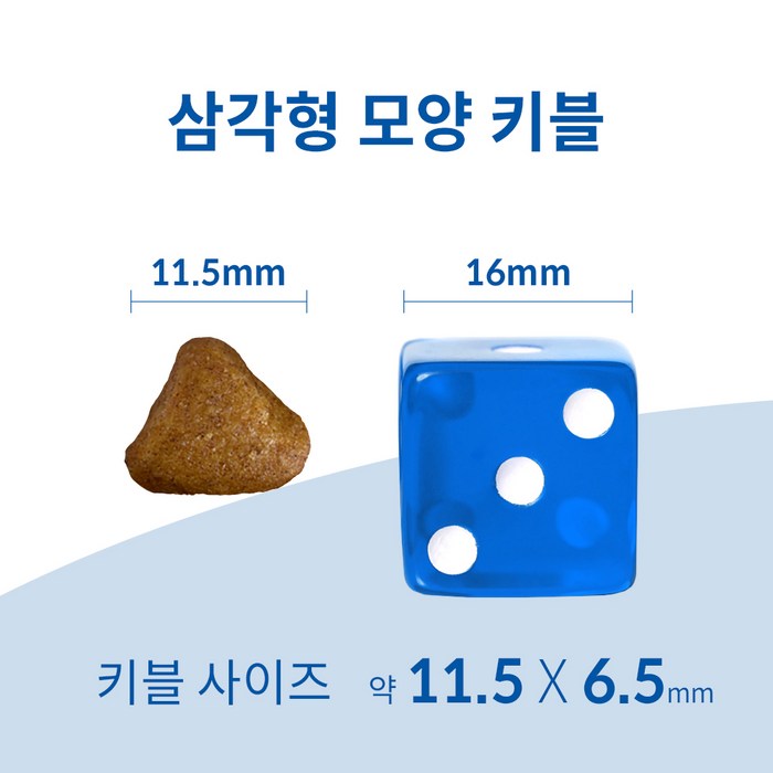 힐스사이언스다이어트 어덜트 고양이 7+ 기능성 사료, 인도어 후기 분석 - 사료 알갱이 디테일