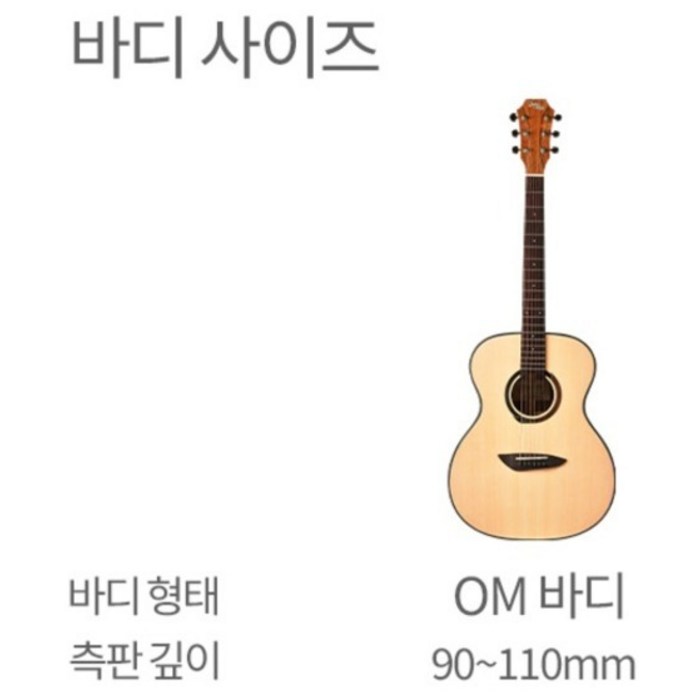 고퍼우드 어쿠스틱 기타 + 구성품 13종, G110 후기 분석 - 포함된 전용 가방