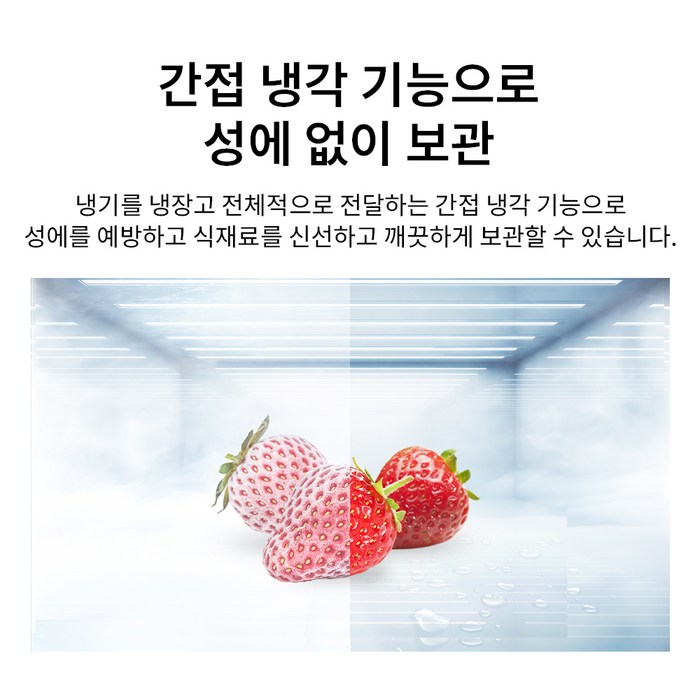 TCL 스탠딩 냉동고 262L 후기 분석 - 효율적인 냉각 시스템