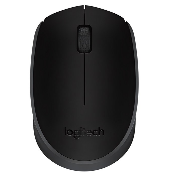 Logitech Wireless Mouse M170