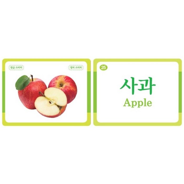 놀면서 배우는 PP 낱말카드낱말카드 6종 세트:찢어지지 않아요, 푸른아이 후기 분석 - 카드 단독 컷과 디테일