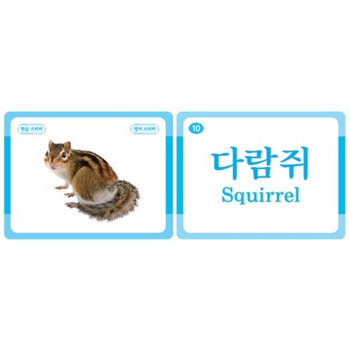 놀면서 배우는 PP 낱말카드낱말카드 6종 세트:찢어지지 않아요, 푸른아이 후기 분석 - 손으로 잡았을 때 느껴지는 카드 두께감