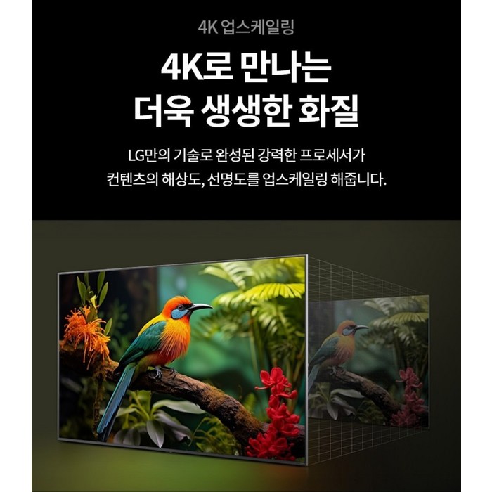 LG전자 4K UHD LED 나노셀 AI TV, 189cm(75인치) 후기 분석 - 직관적인 webOS 스마트 홈 화면