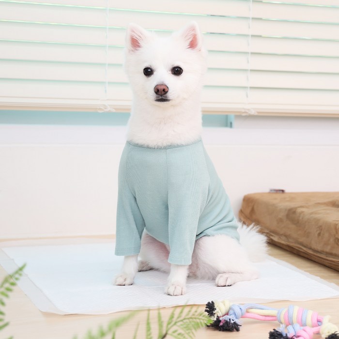 페츠모아 냄새잡는 요술 배변패드 엣지 레몬향 후기 분석 - 다양한 패키지 구성