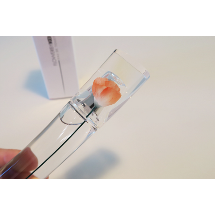[브랜드인증] 겐조 NEW 플라워 바이 겐조 오 드 뚜왈렛 30ml 브랜드 인증 마크