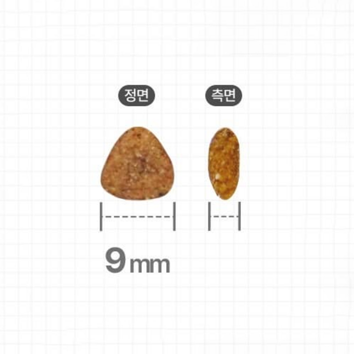 캐츠랑 전연령 고양이 건식사료, 닭+참치 후기 분석 - 행복한 고양이 이미지
