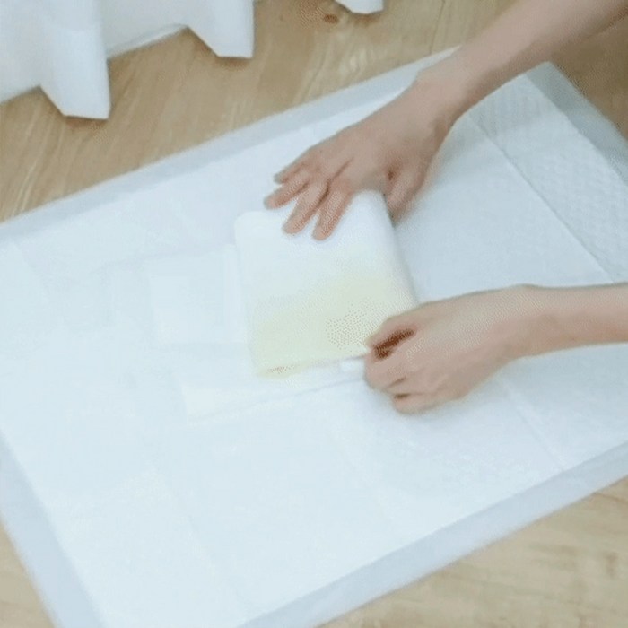 닥터파파 프리미엄 배변패드 29g 후기 분석 - 흡수력 테스트 이미지