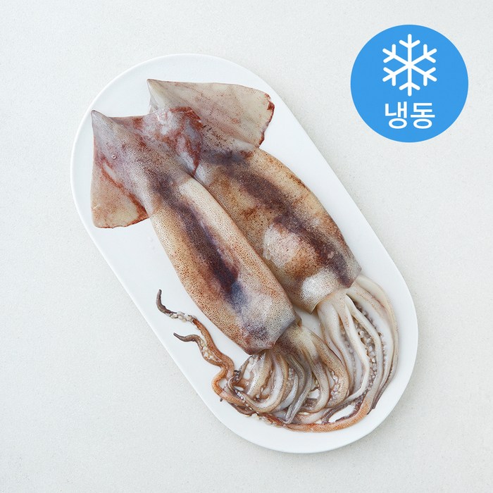 위드프레쉬 손질 통오징어 (냉동), 1개, 320g