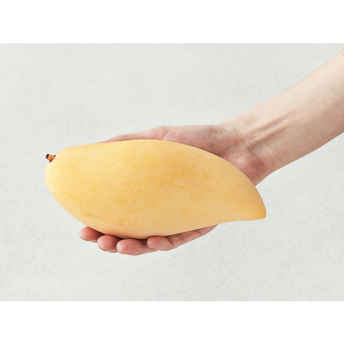 이웃마을 태국산 남독마이 망고, 3.8kg(12~14입) 후기 분석 - 박스 개봉 시 망고 배열 상태