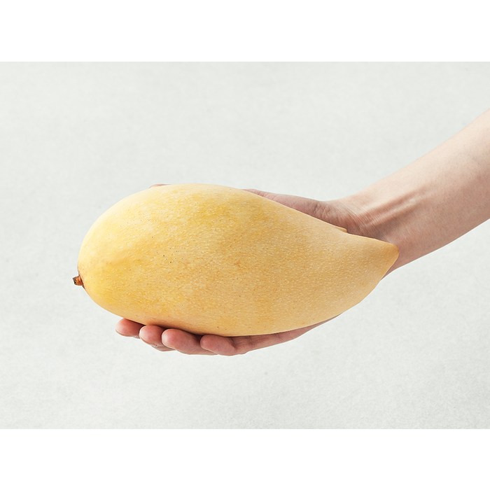 이웃마을 태국산 남독마이 망고, 3.8kg(8~10입) 후기 분석 - 개별 포장 상태