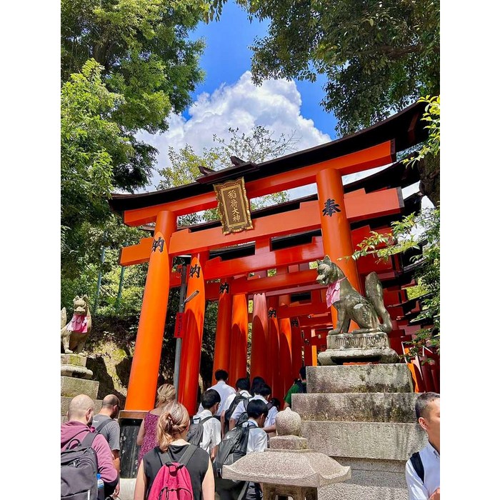 [일본] 오사카 교토 1일 버스투어 청수사 금각사 아라시야마 1명부터 출발 엔데이트립  - 일본 교통 패스 상품