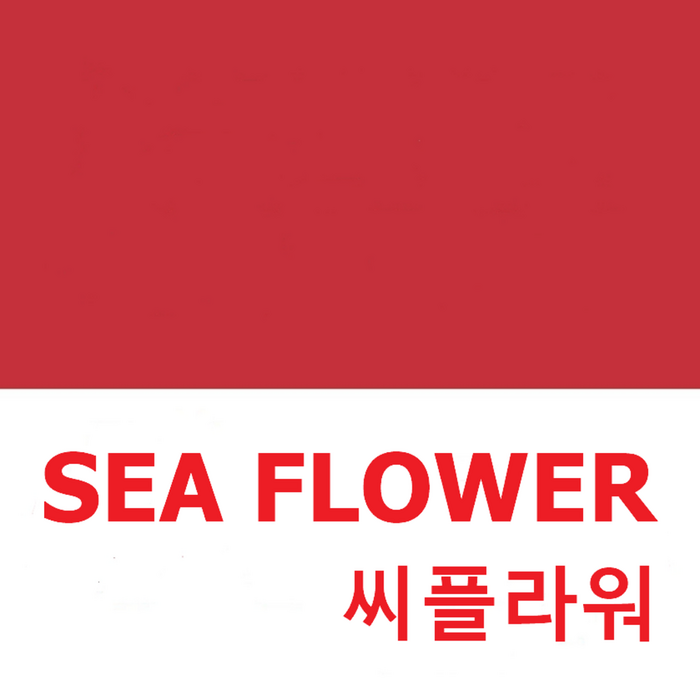 [부산출발] [대마도][투어민족]▶씨플라워◀ 힐링 대마도 2일(토요코인호텔 숙박) - 일본 여행 상품