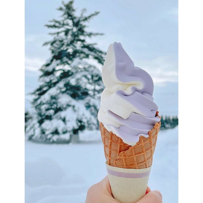 [일본 북해도 삿포로] [♥️준페이매장식사][매일출발] 북해도 비에이&후라노 버스투어 (라쿠투어) - 일본 교통 패스 상품