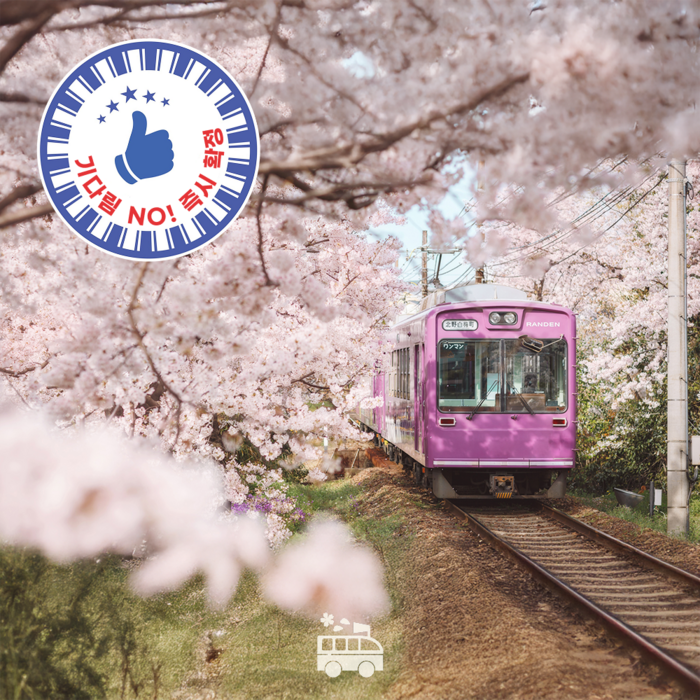 [일본 오사카] 1명부터출발 교토 일일 버스투어 한국인 가이드 [하루하루투어] - 일본 교통 패스 상품