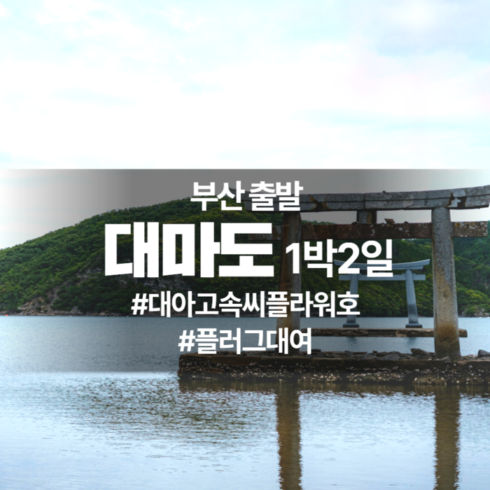 [부산항출발] 대마도 1박2일 패키지 - 대아고속씨플라워호 - 일본 여행 상품