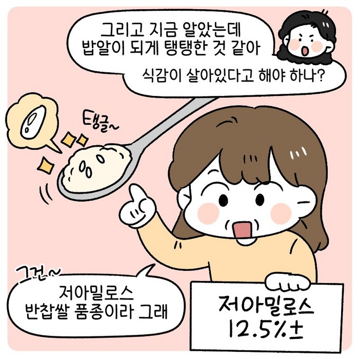 신품종 조선향미 조선향진주 최고급품종 맛있는쌀, 8kg 후기 분석 - 쌀알 상세 컷