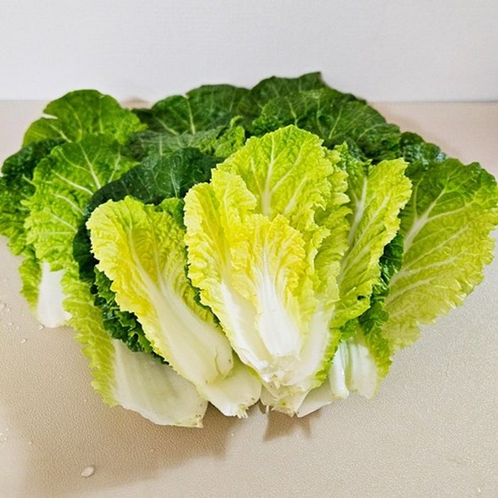 고객만족 재구매1위 진도 해풍 봄동, 1세트, 2kg 대표 이미지 - 봄동 추천