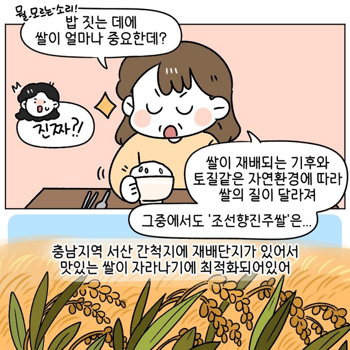 신품종 조선향미 조선향진주 최고급품종 맛있는쌀, 8kg 후기 분석 - 밥 윤기 시각 자료