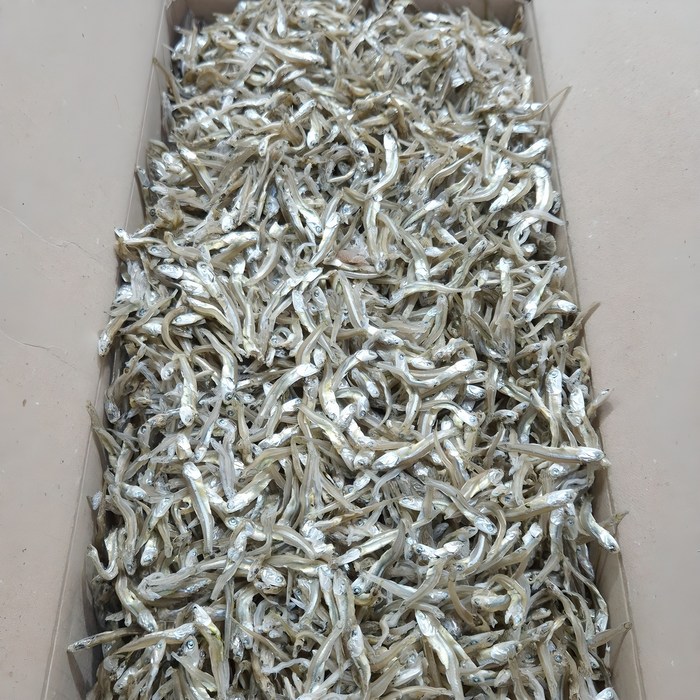 백송식품 [백송식품] 품질좋은 국내산 햇 가이리멸치 1.5kg 저염 조림 볶음멸치, 1개