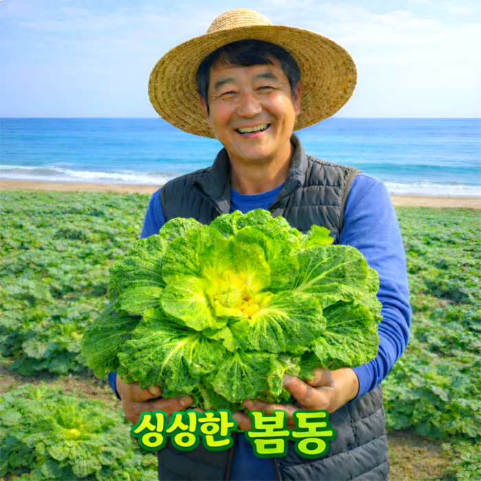 [산지직송] 봄동 배추 아삭한 알배기 진도, 1kg, 1개 대표 이미지 - 봄동 추천