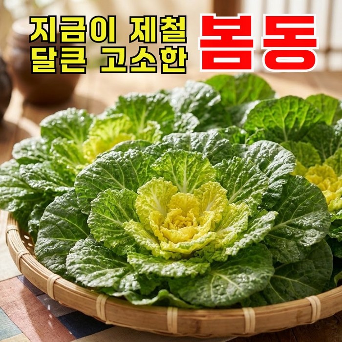 [재구매1위] 햇 봄동 달큰아삭 봄동배추, 1박스, 2kg 대표 이미지 - 봄동 추천