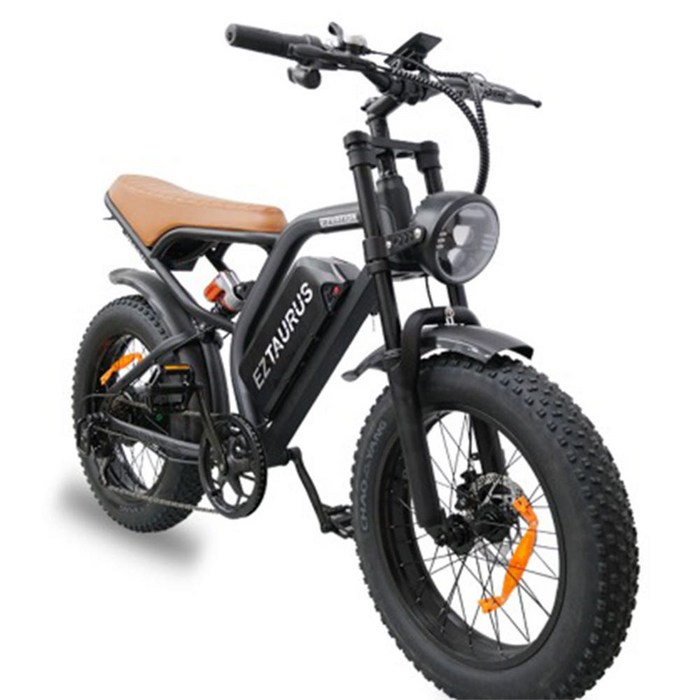 이지베이션 BS슬릭 전기자전거 850W 48V 힙한전기자전거 자토바이 팻바이크, 48V20ah 그레이(9/10출고), 그레이, 스틸 - 자토바이