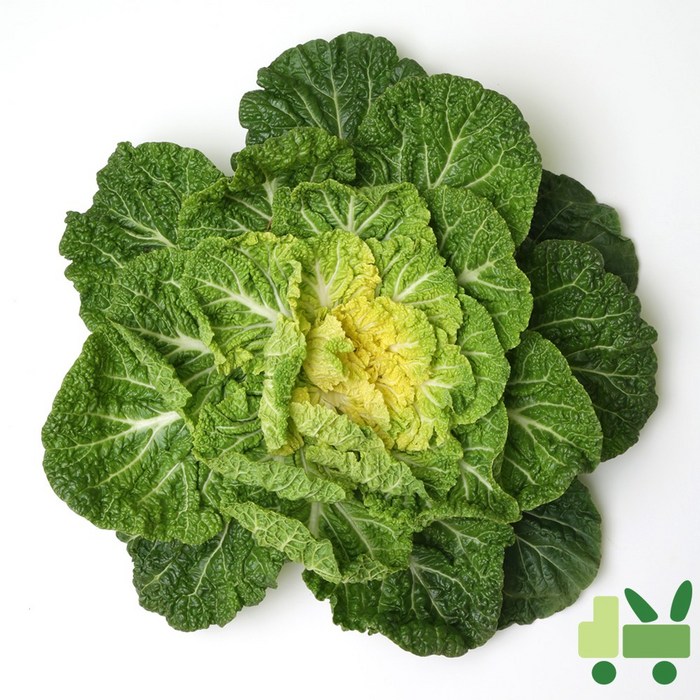 사라상회 봄동 배추 10Kg, 1박스 대표 이미지 - 봄동 추천