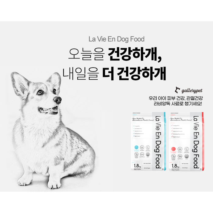 라비앙독 전연령 강아지 S 건식사료, 연어 후기 분석 - 제조 공정 및 신뢰도