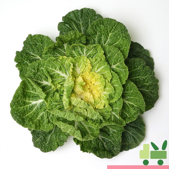 사라상회 봄동 배추 5Kg, 1박스 대표 이미지 - 봄동 추천