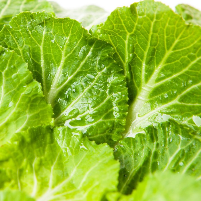 국내산 제철 봄동, 1kg, 1개 대표 이미지 - 봄동 추천