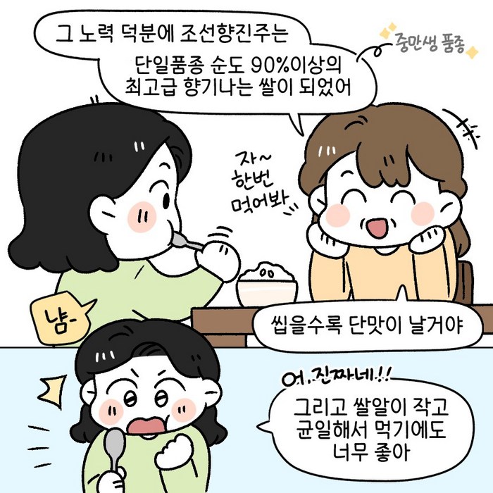 신품종 조선향미 조선향진주 최고급품종 맛있는쌀, 8kg 후기 분석 - 생산 과정 및 장점