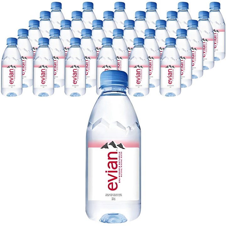 에비앙 천연광천수 생수, 330ml, 48개