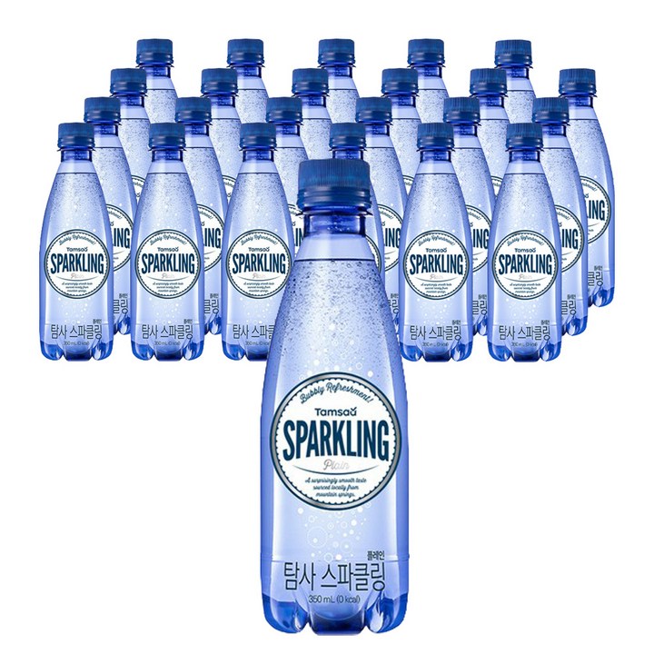탐사 스파클링 플레인, 350ml, 24개