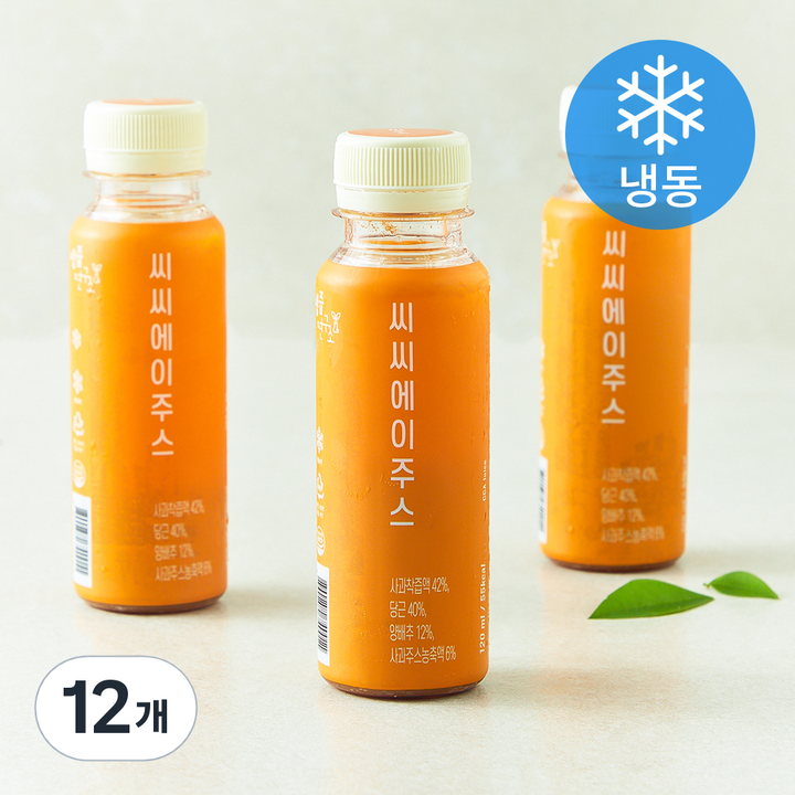 생즙연구소 씨씨에이주스 (냉동), 12개, 120ml