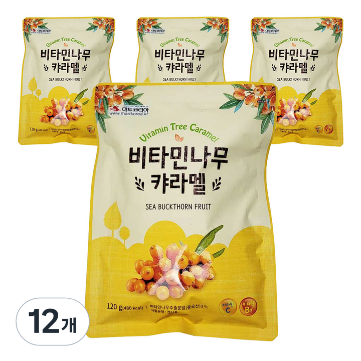 아름다운정성 비타민 나무 카라멜 사탕, 12개, 120g