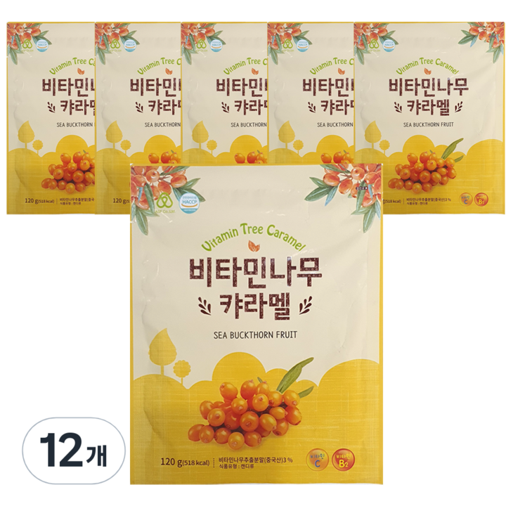 하이투데이 비타민나무 캬라멜, 120g, 12개