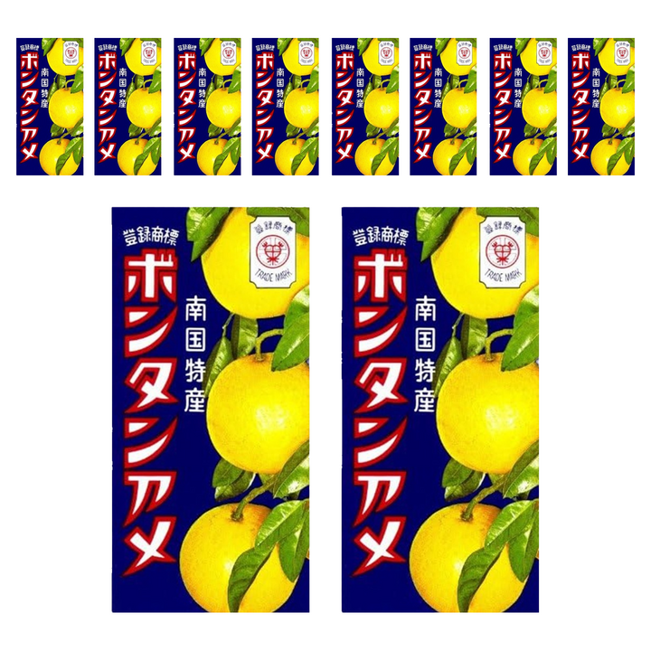 세이카 본탄 아메 10알입, 45g, 10개