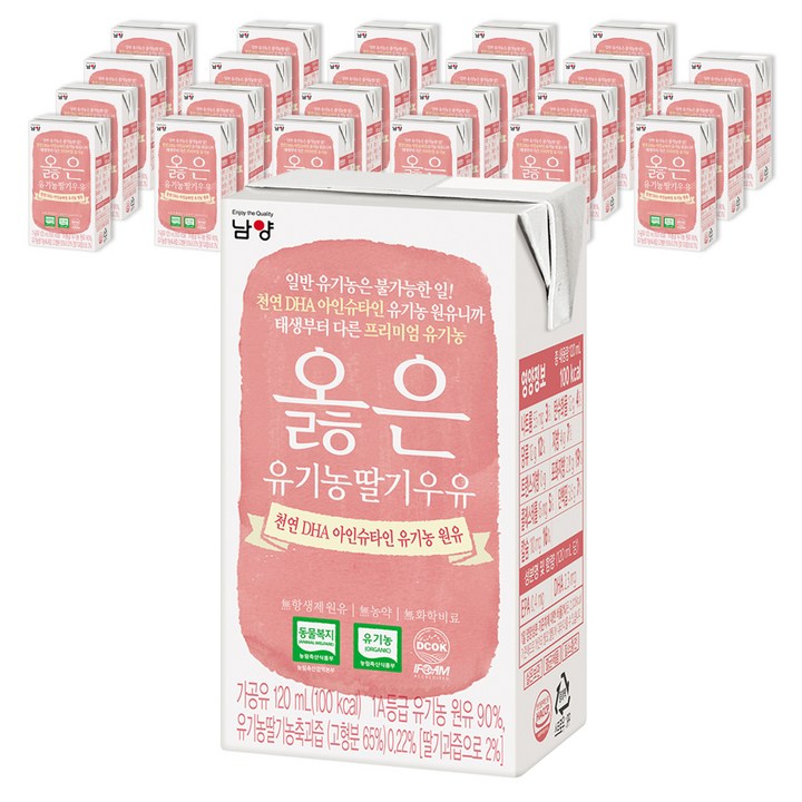 남양유업 아인슈타인 원유 옳은 유기농 딸기 우유, 120ml, 24개