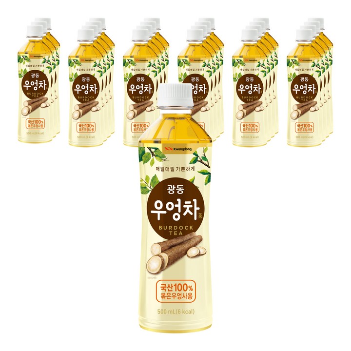 광동제약 우엉차, 500ml, 24개