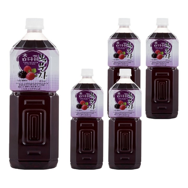 파낙스 참다음 복분자 음료베이스, 1.5L, 5개