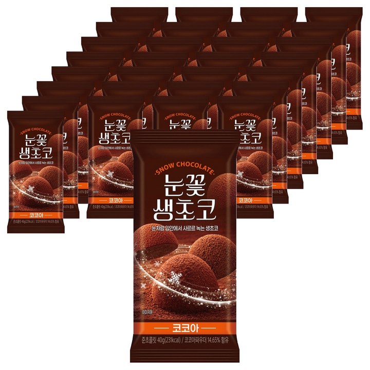센그레이트 눈꽃 생초코 코코아, 40g, 48개