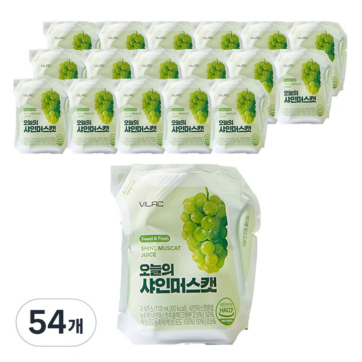 비락 오늘의 샤인머스캣, 110ml, 54개