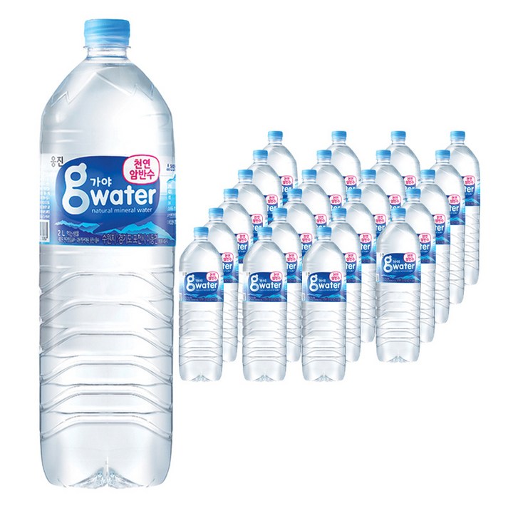 가야G워터 생수, 2L, 24개