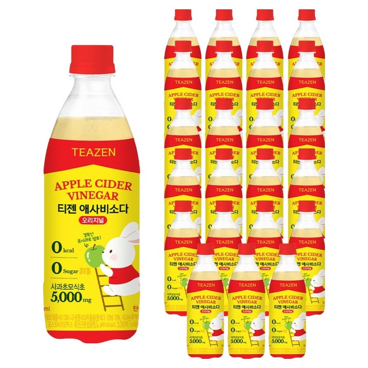 티젠 애사비소다 오리지널, 24개, 500ml