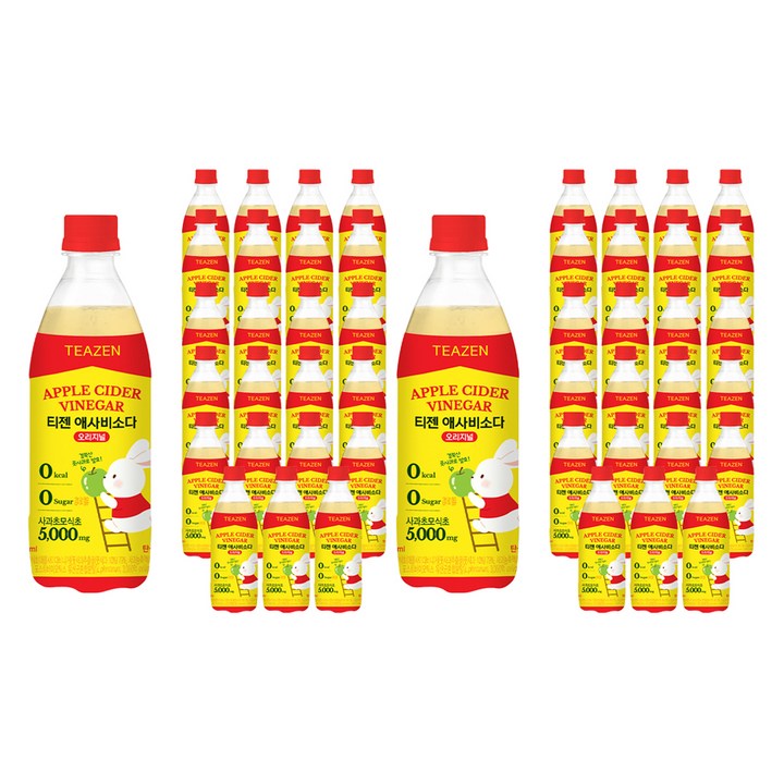 티젠 애사비소다 오리지널, 48개, 500ml