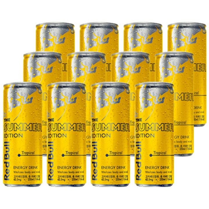 레드불 에너지 드링크 더 썸머 에디션, 250ml, 12개