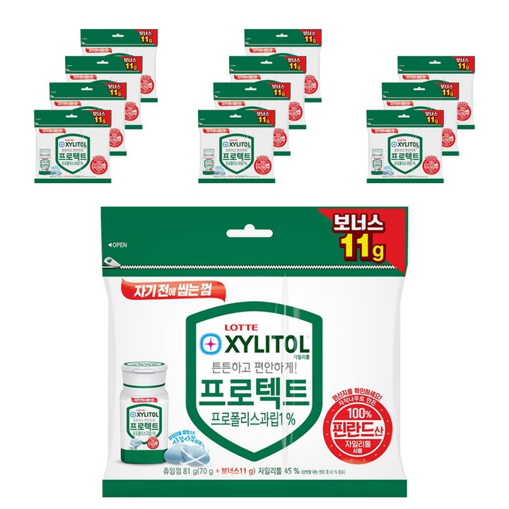 롯데자일리톨 껌 프로텍트 트윈리필, 81g, 12개