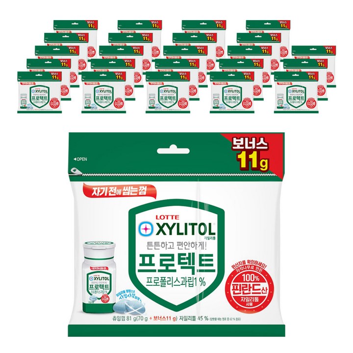 롯데자일리톨 껌 프로텍트 트윈리필, 81g, 24개입