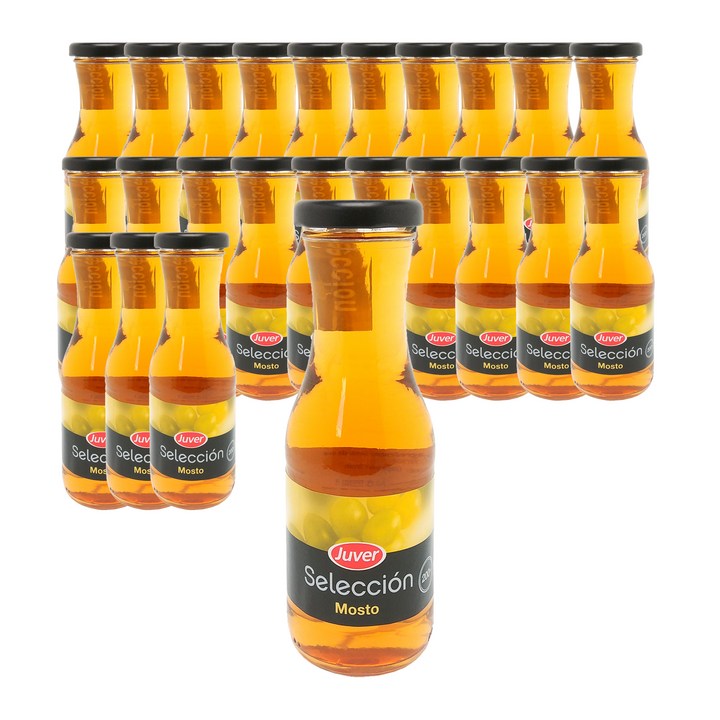 후버 셀렉션 모스토 포도주스, 200ml, 24개